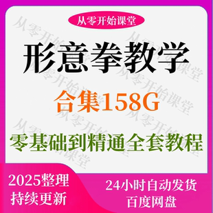 形意拳视频教程名师教学讲解内家拳功夫站桩拳法内功套路武术实用