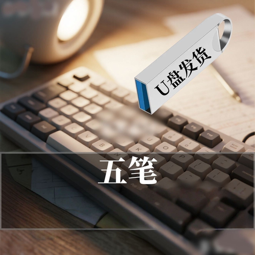 U盘优盘五笔打字视频输入法技巧练习新人入门电脑软件