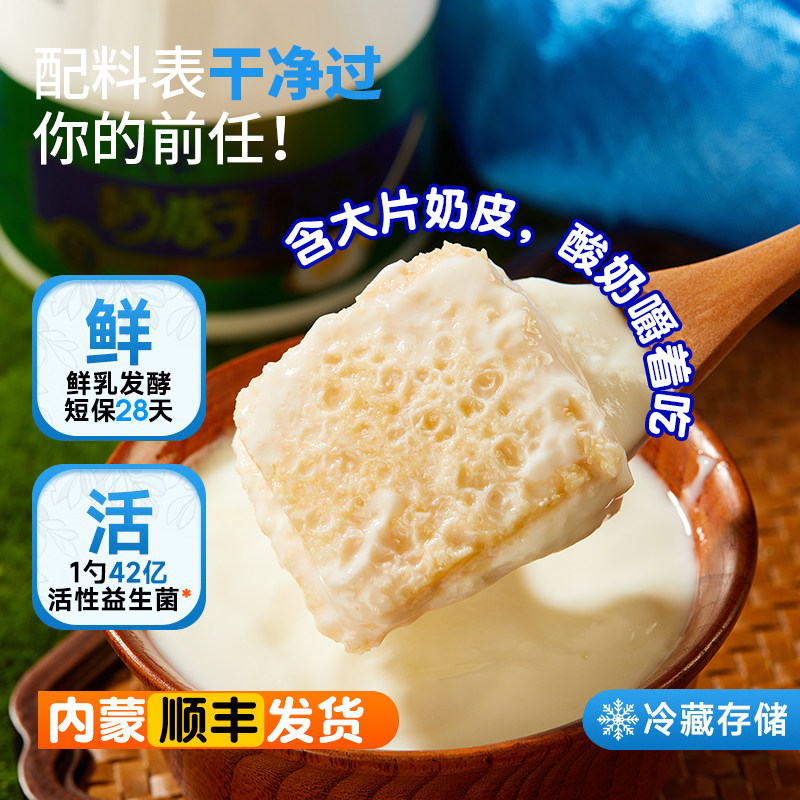 内蒙古正宗低温原味奶皮子酸奶2斤/桶装营养代餐酸奶碗办公室零食,咖啡/麦片/冲饮,低温酸奶,淘宝优惠券,粉丝福利购,淘宝优惠卷