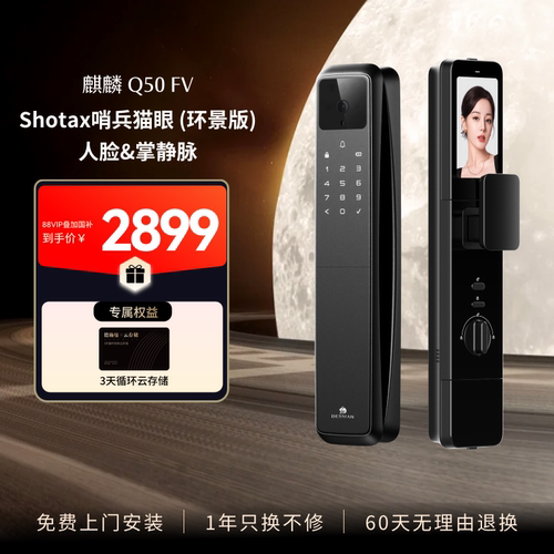 德施曼智能锁人脸识别密码锁指纹锁家用防盗门电子锁Q50FV