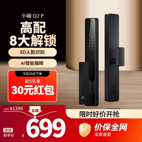 德施曼密码指纹锁家用防盗门全自动智能锁电子锁小嘀Q2P