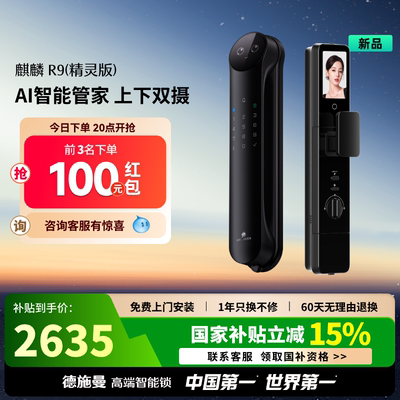 德施曼密码锁指纹锁家用防盗门3D人脸识别智能锁感应锁R9精灵版