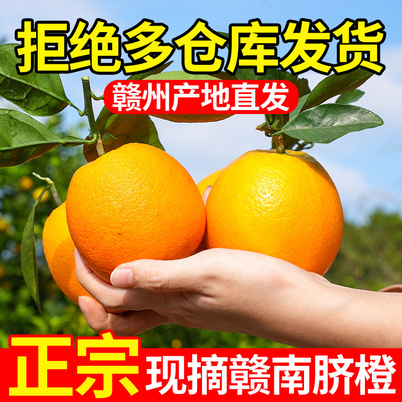 江西赣南脐橙产地直发新鲜橙子大果10斤应季水果甜橙整箱顺丰包邮,水产肉类/新鲜蔬果/熟食,橙,淘宝优惠券,粉丝福利购,淘宝优惠卷