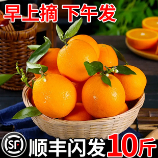 【顺丰包邮】江西橙子赣南脐橙净重10斤大果应季新鲜水果产地直发
