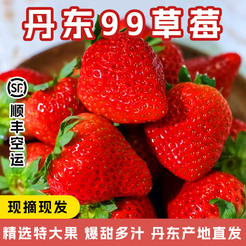 丹东99草莓产地现摘现发精选大果