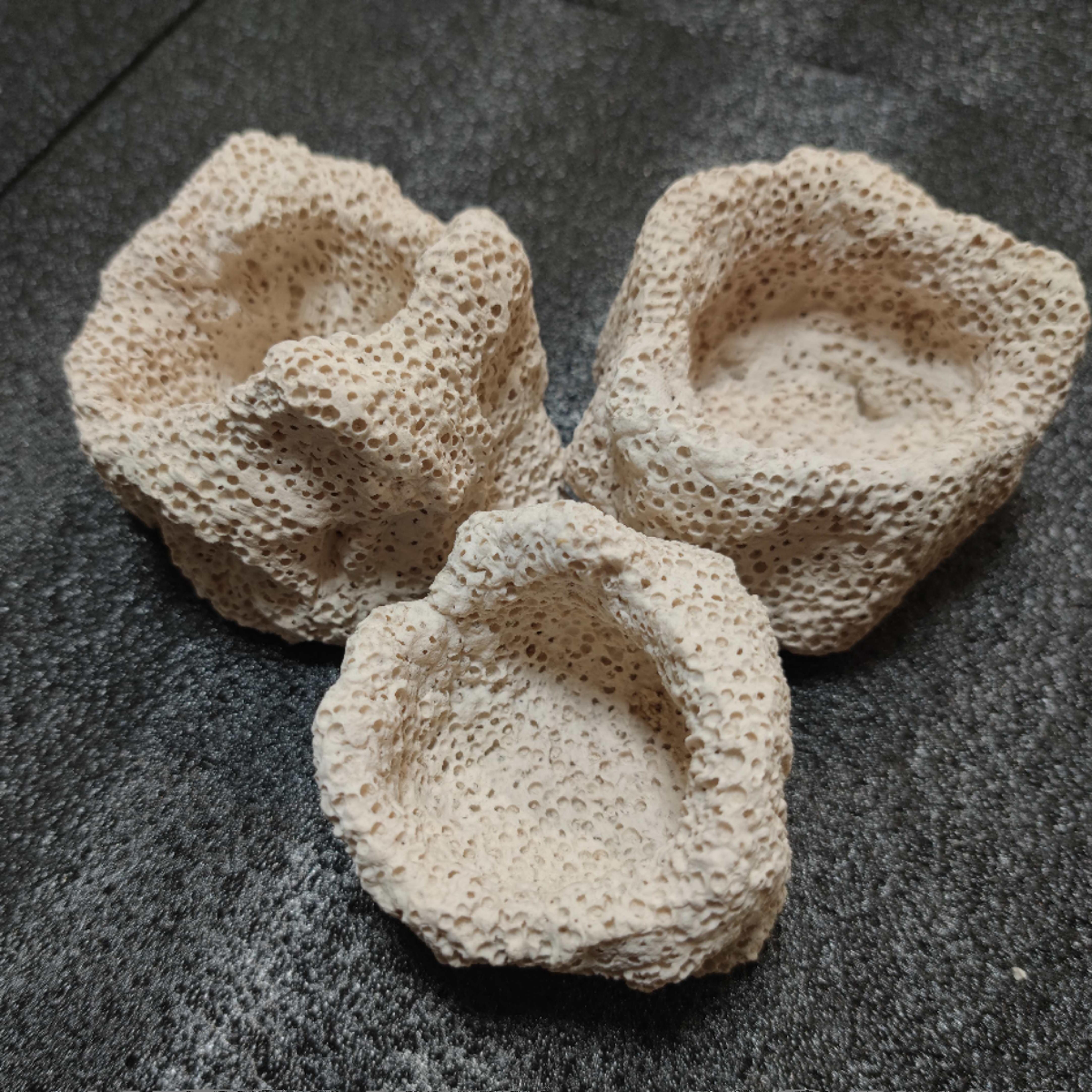 DIY蚂蚁海葵窝海水珊瑚缸奶嘴海葵罐多孔隙烧制奶嘴窝