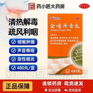 碑林 金嗓开音丸 480丸