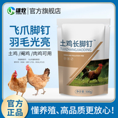 雄牧鸡用长脚蹬子土鸡长飞爪冠红毛亮啄羽公鸡脚钉饲料添加剂
