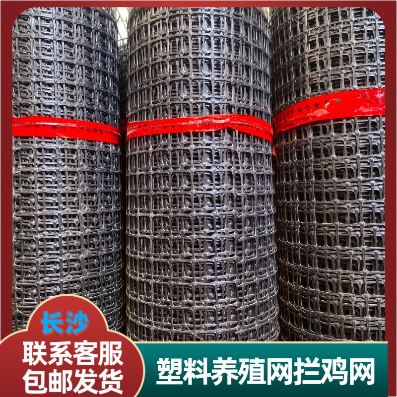 养殖网黑色塑料网小孔养鸡鸭网户外围栏网圈山围地菜园围网圈玉米