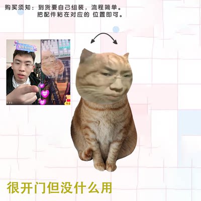 听泉猫新鲜哥周边卡通表情包抖音搞笑摇脑袋桌面摇头摆件听泉