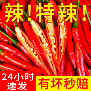 小米辣椒云南现摘新鲜特辣魔鬼椒泡椒尖椒朝天椒超辣薄皮土红辣椒