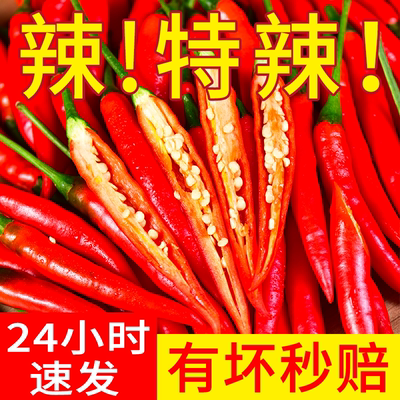 小米辣椒现摘新鲜特辣魔鬼椒尖椒