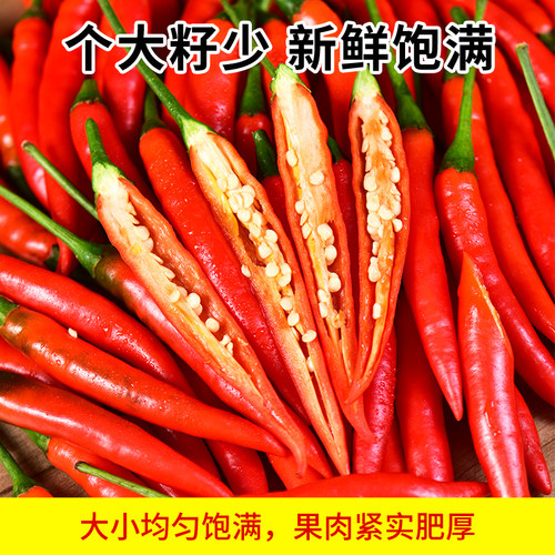 小米辣云南现摘泡椒尖椒餐饮商用