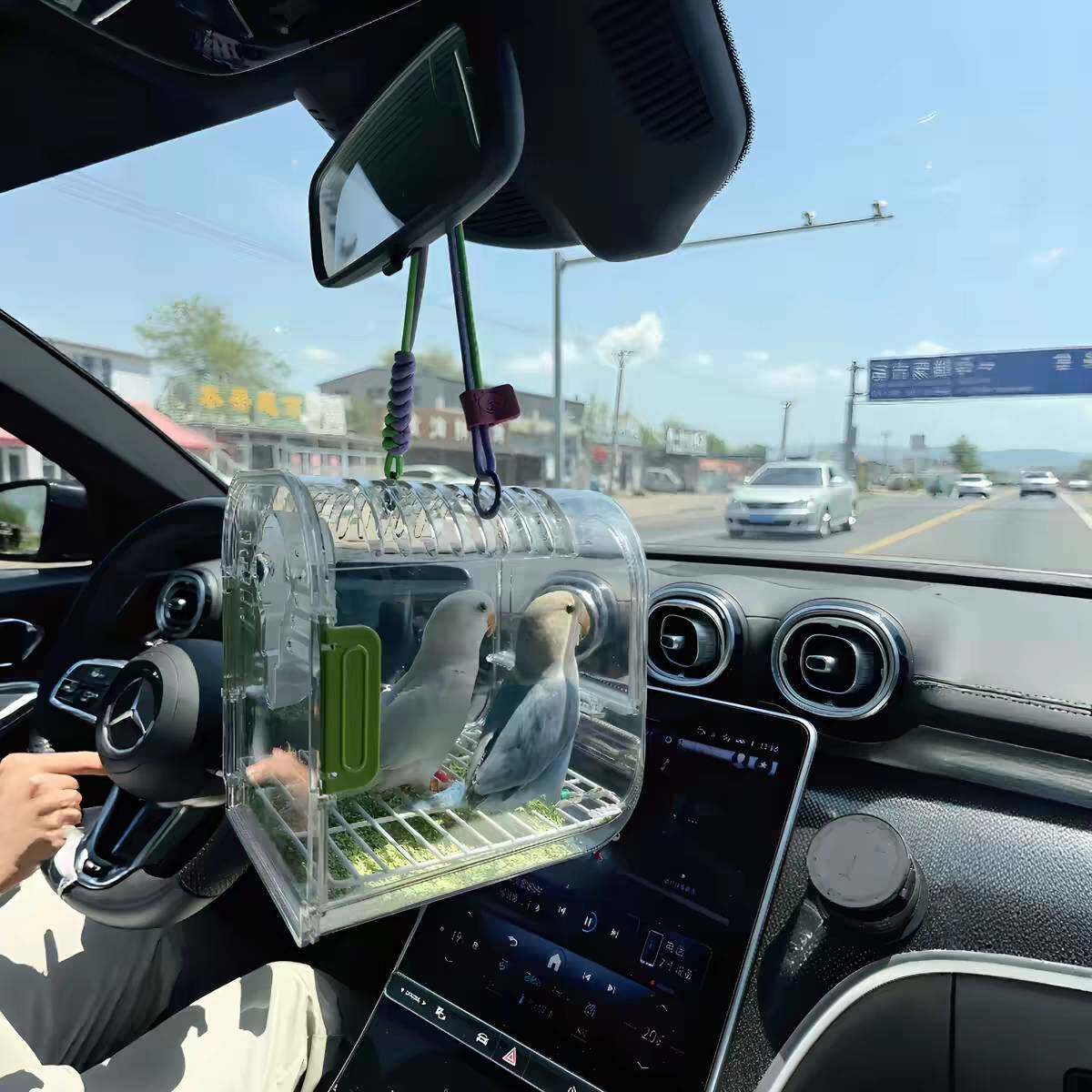 车载鹦鹉站架小型宠物全景可视