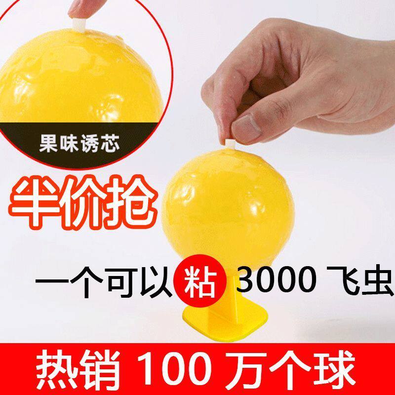果蝇诱捕器粘虫球诱苍蝇小飞虫室内室外摊位厨房农村灭蝇神器