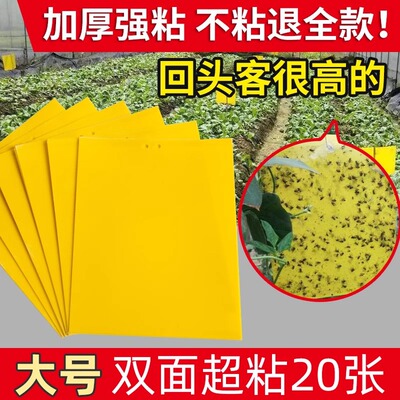 双面粘虫板贴纸强力灭杀小飞虫沾果蝇诱捕神器捉蚊子苍蝇大棚黄板