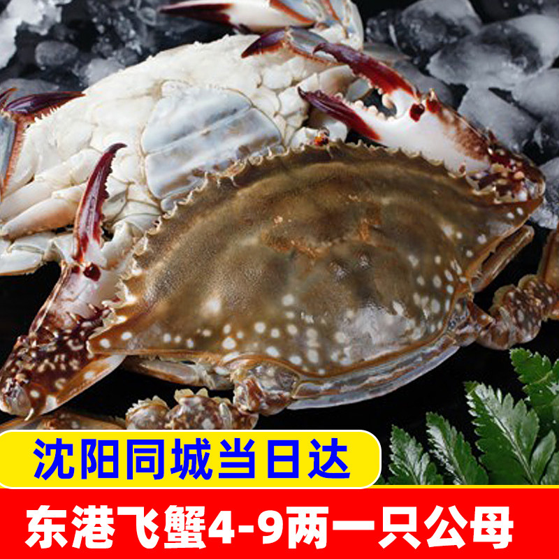 东港梭子蟹飞蟹螃蟹辽宁沈阳同城舟山当季新鲜水产公母送礼跑腿鲜