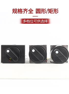 和泉选择开关16mm自锁2档3档交替型AS6M/H-2Y1C/3Y2C圆形矩形旋u.