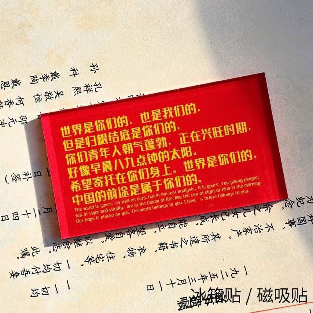 世界是你们的 也是我们的 毛选冰箱贴正能量伟人励志语录磁吸装饰