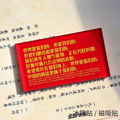 世界是你们的 也是我们的 毛选冰箱贴正能量伟人励志语录磁吸装饰