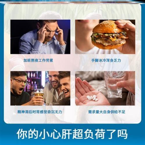 德国修女肝姜片音水飞蓟奶蓟草黄胆碱加班熬夜LNN3解酒 0片抖同款