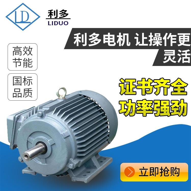 三相异步电动机YE3/YX3-90S-6 0.75KW 380V立式铜芯国标交流电机