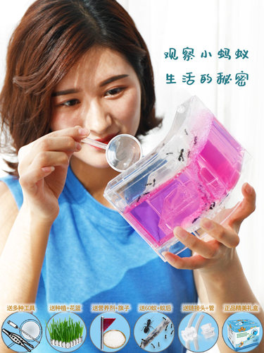 蚂蚁城堡蚂蚁工坊生态沙巢活体小宠物别墅家园庄园盒子弓背蚁后窝