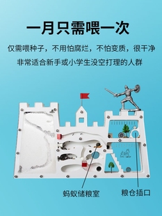 正品蚂蚁城堡新型工坊送收获蚁后学生观察生态箱蚁巢室屋庄园活物