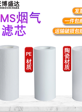 cems烟气过滤器滤芯 PE高分子材质玻纤过滤滤芯在线烟气监测器气体过滤芯采样器滤芯SS-2T保护过滤器滤芯