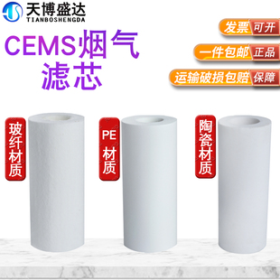 cems烟气过滤器滤芯 PE高分子材质玻纤过滤滤芯在线烟气监测器气体过滤芯采样器滤芯SS-2T保护过滤器滤芯