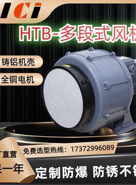 多段式中压鼓风机HTB100-304制冰工业燃烧机空气泵2.2KW助燃风机