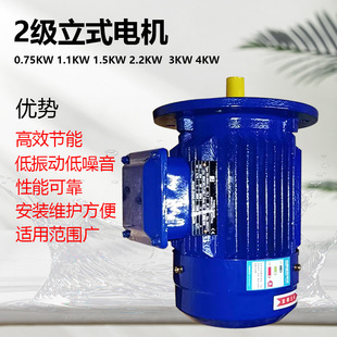 YE3系列2级立式 电机铜线大头泵马达0.75KW1.1KW1.5KW2.2KW3KW4KW