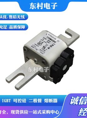 全新熔断器170M4244 170M4245 170M4246 170M4247现货