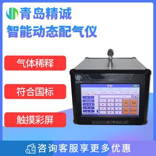 智能动态配气仪 气体稀释装置 固定污染源废气稀释低浓度标气
