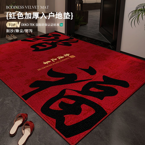 新房新居搬家入户脚垫加厚地垫
