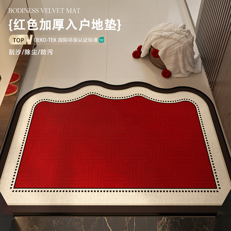 2025新款简约入户地垫入门脚垫