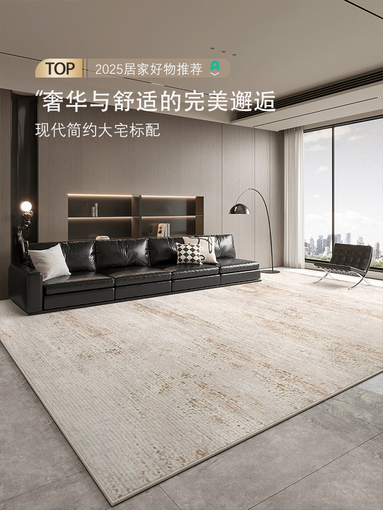 轻奢高级地毯客厅2025新款免洗可擦防水耐脏室内沙发卧室地垫天津