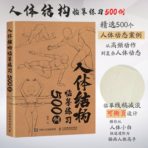 人体结构临摹练习500例