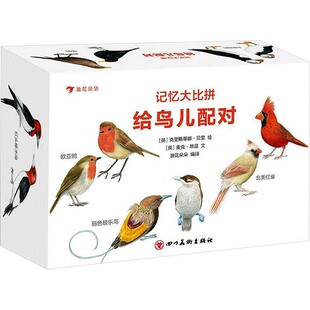 记忆大比拼 给鸟儿配对