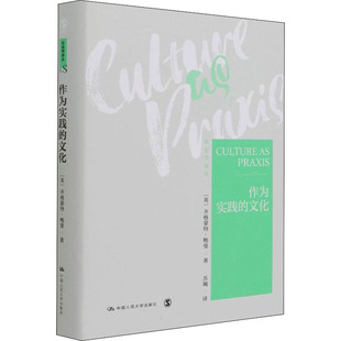 作为实践的文化