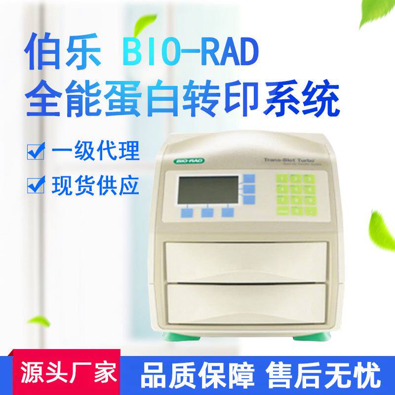 美国-快速伯乐蛋白全能转印系统-转膜仪