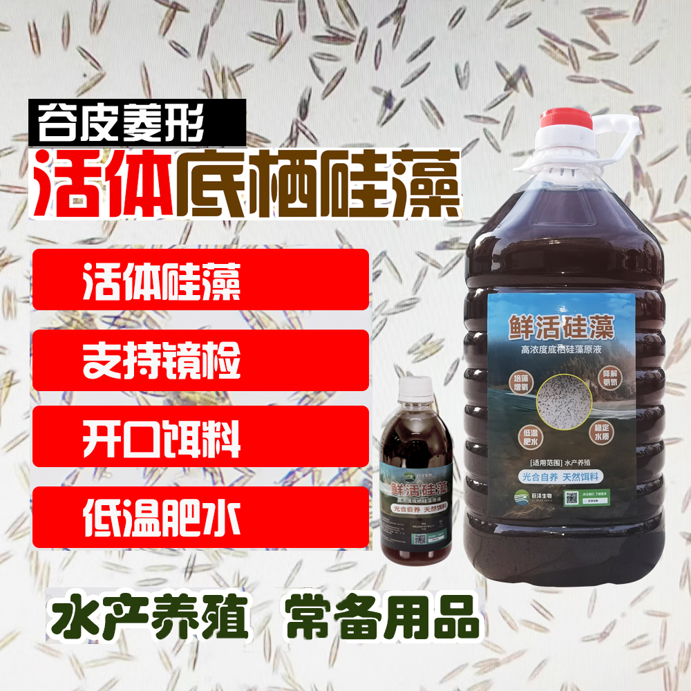 硅藻藻种培藻开口饵料水产养殖立体产氧低温肥水降解氨氮稳定水质 畜牧/养殖物资 水质调节剂 原图主图