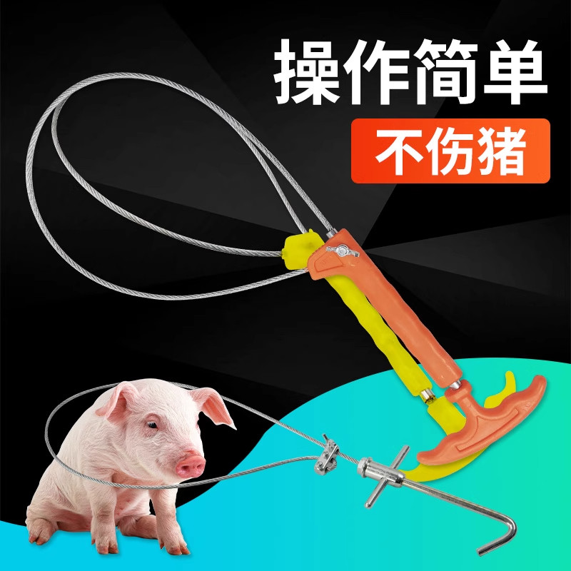 套猪神器套猪嘴拉猪神器抓猪套猪绳绑猪抓猪器金属钢丝弹簧套猪器,畜牧/养殖物资,畜牧/养殖器械,淘宝优惠券,粉丝福利购,淘宝优惠卷