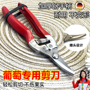 葡萄剪刀修葡萄专用剪不锈钢摘果剪采果剪粗枝刀采果剪刀果农专用