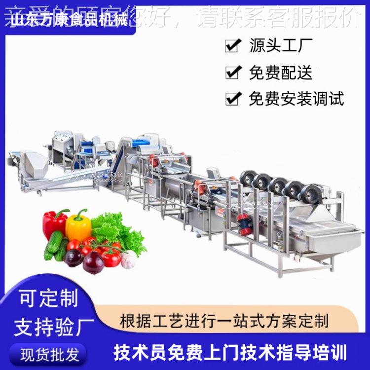 商用蔬菜清洗机食品包装袋清洗加工流水线果蔬自动臭氧清洗机新品