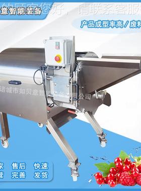 大果型脯切粒机 蔬果三维切丁机 萝芋头RJD切卜丁机