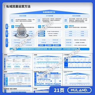 B7战略屋房子图房型策略定位模型产品矩阵逻辑平台架构图PPT模板