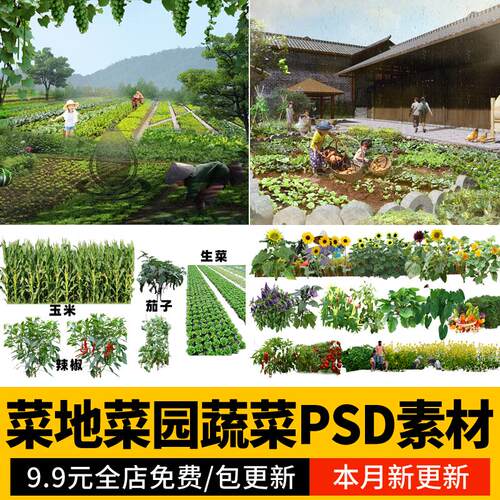 菜地ps素材美丽乡村 菜园平面psd免扣效果图农村院子庭院蔬菜植物