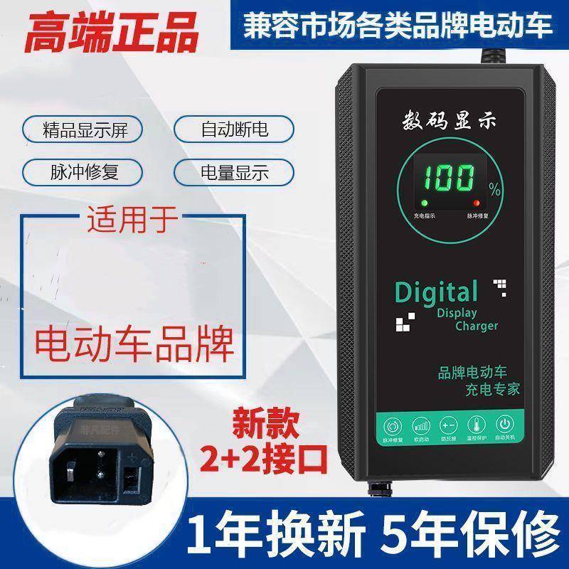 新国标2+2插孔适用各大品牌电动车充电器48V60V72V20AH自动断电原