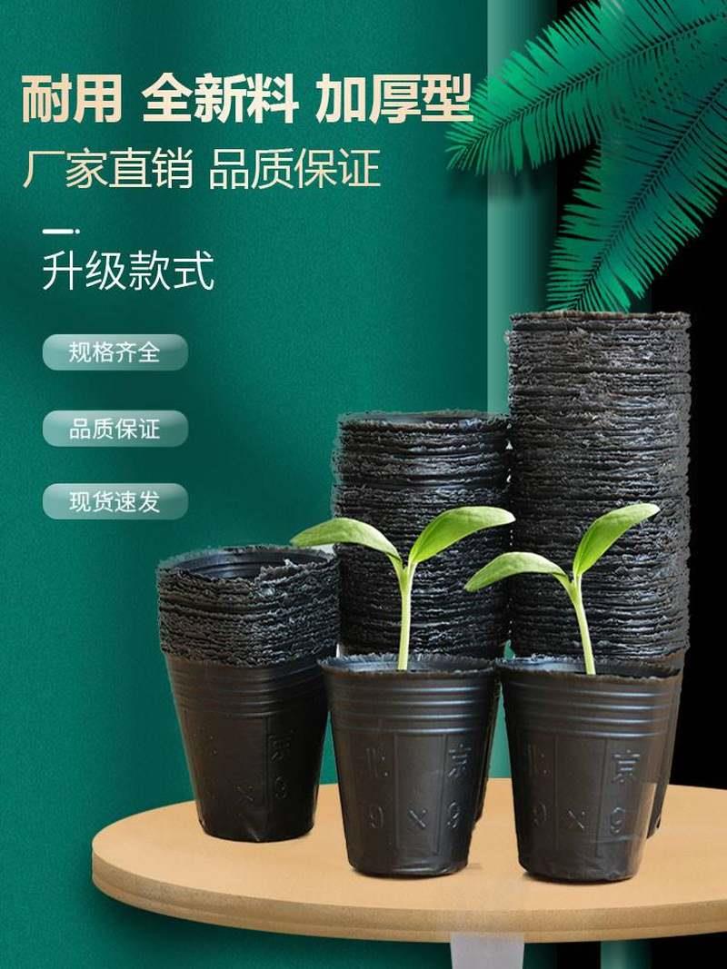 盆栽小号育苗专用盆一次性培育幼苗西瓜种子魔芋营养杯塑料盆种植